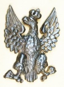 Orzeł wielkopolski (O.7.)