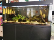 Akwarium 240l Aquael plus filtr