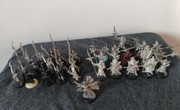 Dark elf EXECUTIONERS, BLACK GUARD oop metal zestaw
