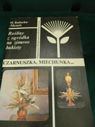 Czarnuszka Miechunka Raducka Mynett