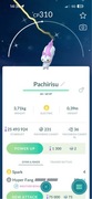 Pokémon GO – Shiny Pachirisu | Wymiana / Transfer | 100% legit
