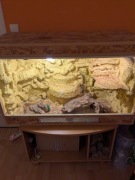 Terrarium ze ścianką