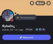 Discord Serwer Profesjonalny boty i Mega kanały 