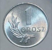 1 groszy 1949 PRL (st.1/1-)  [#1162]