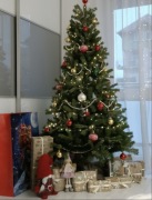 Od 14.03-22.03 URLOP | Okazja!! Ładna choinka