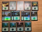 MTG Basic Land Pack FOIL - FOREST
