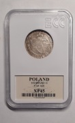 Szóstak 1626 r. Zygmunt III Waza GCN XF45