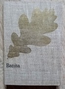 Banita - Józef Ignacy Kraszewski (7)