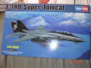 F-14D Super Tomcat 1/48 z Kostuchą