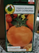 Pomidor Złoty Ożarowski 