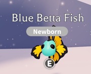 ROBLOX ADOPT ME Blue Betta Fish