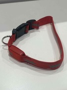 Nowa obroża dla psa z podświetleniem LED