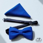 Zestaw chabrowa mucha męska z poszetką