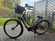 Rower miejski Plumbike