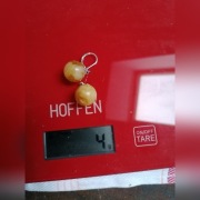 Bursztyn kolczyki 4gr mleczne 