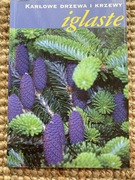 Karłowe drzewa i krzewy iglaste. Adam Marosz