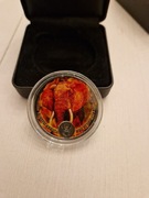 Srebrna moneta Big Five Burning Elefant