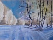 Krocząc zimowym szlakiem