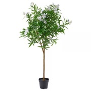 Sztuczna roślina doniczkowa, do wewnątrz/na zewnątrz/oleander biały, 19 cm