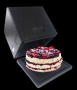 Pojemnik termoizolacyjny na tort pizze