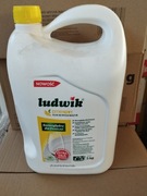 Ludwik płyn do mycia naczyń 