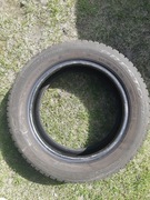 Opony letnie Dębica 185/60 R15
