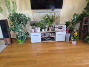 Yamaha RN803D + kolumny Indiana Line Tesi 661 – używany  zestaw HI-FI