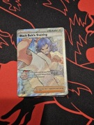 Pokemon black belts training ascended heroes