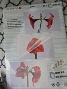 Folia do laminowania a3