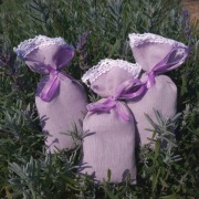 Woreczki z suszoną lawendą - lawenda, susz