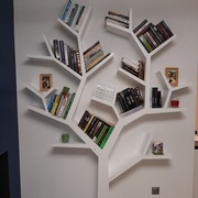 Półka JAK DRZEWO, oryginalna półka na książki