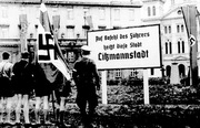 Książka "Dzieci z LItzmannstadt".