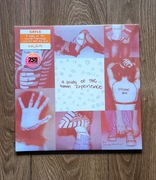 GAYLE – abcdefu ,  Study Of The Human Experience