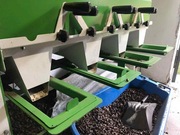 Nasiona buka zwyczajnego – zbiór 2025