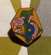 Odznaka. 13-ty Rajd Eskulapów