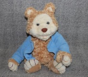 Playskool TJ Bearytales miś opowiadający bajki