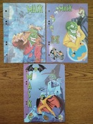 Maska karteczki kolekcjonerskie do segregatora -vintage 