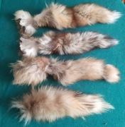 Lis Rudy OGON wyprawiony ogonek lisa futro puszysta Kita na wyroby ogony 