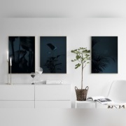 Black Plant, Plakat 