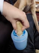 Czyścik do Łap Psa - Kubek Silikonowy | M niebieski | NOWY