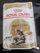 ROYAL CANIN Maine Coon - kawałki w sosie  (11szt)