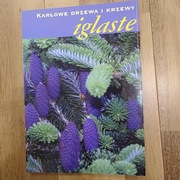 Karłowe drzewa i krzewy iglaste - dr Adam Marosz