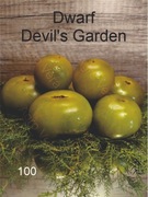 100-Dwarf Devil's Garden. Pomidory kolekcjonerskie.