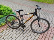 Rower Romet Arkus Trend 260