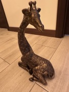 Przepiękna delikatna żyrafa