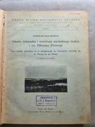 Utwory dyluwialne i morfologia wschodniego krańca Półwyspu Pińskiego