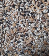 Mieszanka ziaren dla Messor barbarus 100 gram/ 160ml  