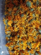 Nagietek kwiat suszony 30 g