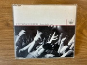 WWO W WITRYNACH ODBICIA JESZCZE BEDZIE CZAS SINGIEL unikat 2001