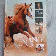Książka Konie - album 